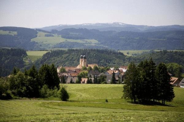 Gaestehaus Wald Und See Hotel Titisee-Neustadt Buitenkant foto